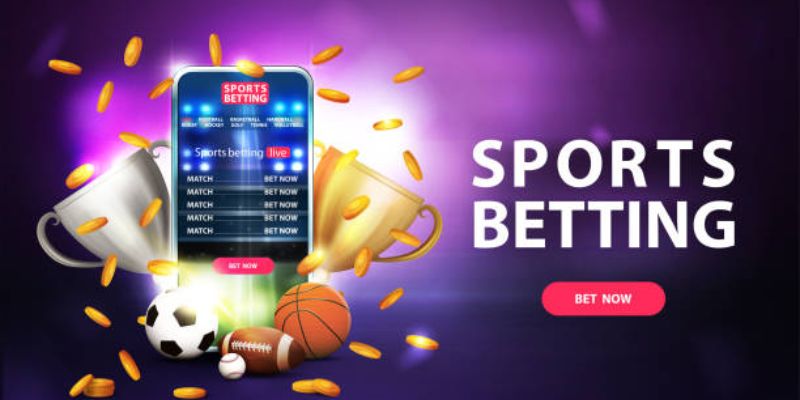 Overview of Sports Betting at Jilihot