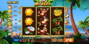 Experience Exciting Monkey Slots Game With Winning Chance